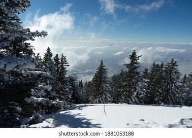 Winter At Ski Apache, New Mexico