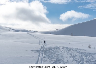 Winter Skiing Trail In Wilderness In Banff National Park, Alberta, Canada 