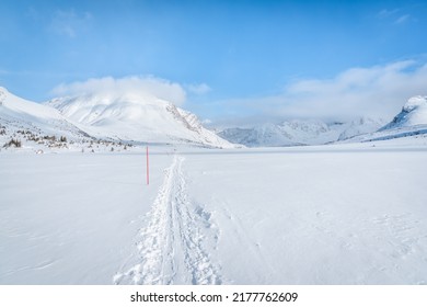 Winter Skiing Trail In Wilderness In Banff National Park, Alberta, Canada 