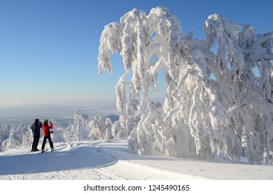 winter in the snow