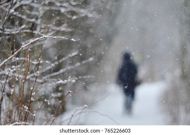 Winter and snow