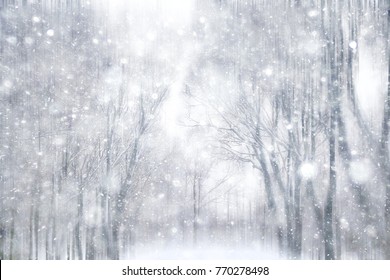 winter snow background / blurred background in city park, snowfall in forest, tree branches and bushes covered with snow, abstract snowflakes in blur, christmas walk