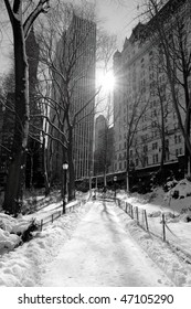 Winter Snow In Central Park, New York City