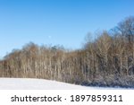 Winter snow countryside landacpe  with a faint moon in the blue sky in rural northeastern Tennessee