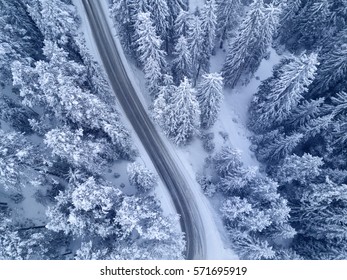 Winter Snow Covered Pine Forests And Road Bird's Eye View
