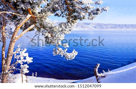 Winter snow forest lake water view