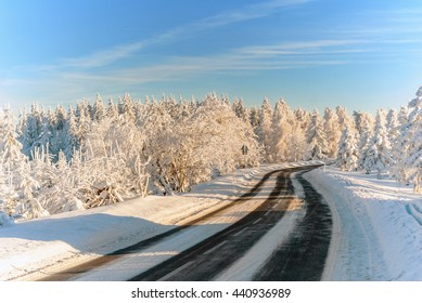 Winter Snow Forest Road Trees Sunrise Sunset Sun