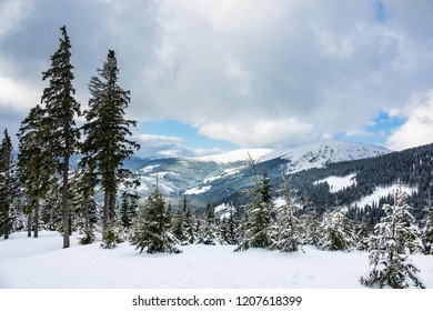 Winter With Snow In The Giant Mountains, Czech Republic.