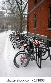 Winter Snow In Harvard