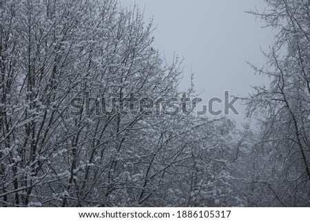 Similar – grau Wetter Winter