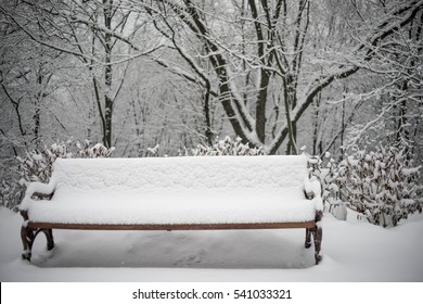 Winter Snow Landscape Park Bench