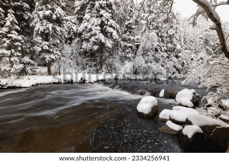 Winter snow at Middle St. Vrain Creek in Raymond, Colorado