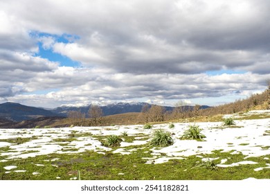 Winter snow mountain cabin panorama. Winter mountain snow forest tree. landscape mountain snow. Winter and cold Winter forest in Algeria, Jijel North Africa, snow covered trees and cold weather. Arabs - Powered by Shutterstock