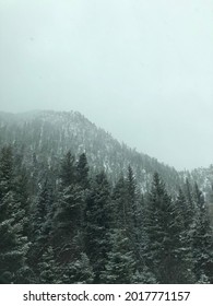 Winter Snow In Mountain Forest At Taos Valley, NM