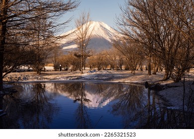 winter, snow, Mt.fuji, yamanashi, japan,nature, lake 