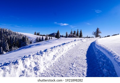 Winter snow path in sunny day
