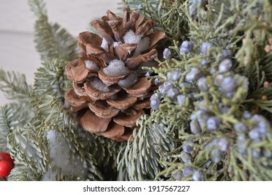 Winter Snow Pinecone On Pine Trees