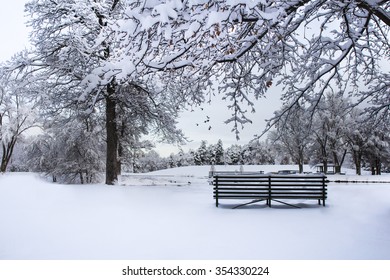 Winter Snow At Salt Lake City's Liberty Park 