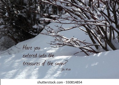 Bible Verses Stock Photos, Images & Photography | Shutterstock