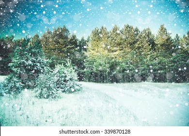 Winter snow scene with forest background - Powered by Shutterstock