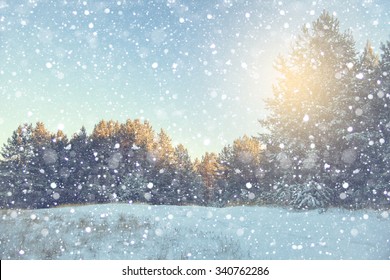 Winter snow scene with forest background - Powered by Shutterstock