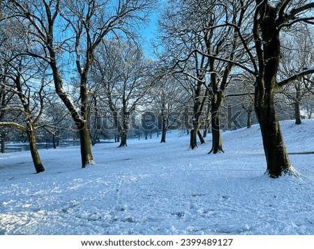 Winter snow scene in, Lister Park, with old trees, a boating lake, and a blue sky in, Bradford, UK