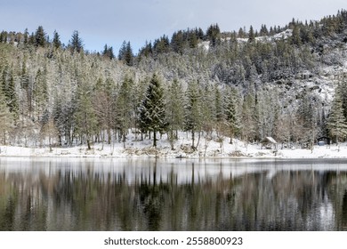 Winter snow scene in the mountains above Bergen, Norway. Tall pine trees reflected in the still waters of the lake. - Powered by Shutterstock