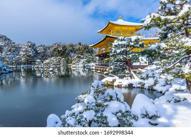 winter snow white trees culture japan
