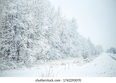 Winter snow in white woods - Shutterstock ID 1742293070