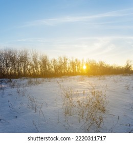 Winter Snowbound Forest Glade At The Sunset