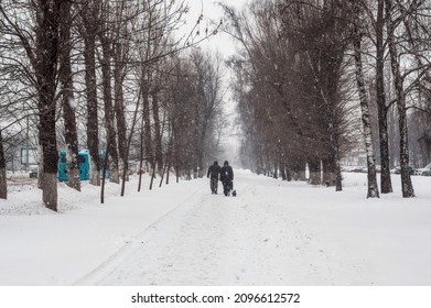 Winter snow-covered alley with tall bare trees during snowfall. Passers-by walk small dog on leash