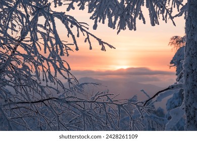 Winter snow-covered trees in the Ural mountains. - Powered by Shutterstock