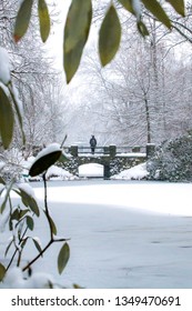 A winter snowfall