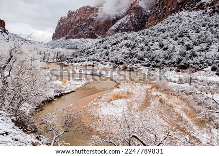 Winter snowfall in Zions National Park, Utah, USA.  This magnificent park is transformed into a wonderland after a heavy snowstorm.