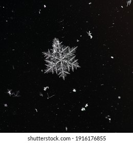 Winter snowflakes magnified. Snowflakes on a dark background. - Shutterstock ID 1916176855