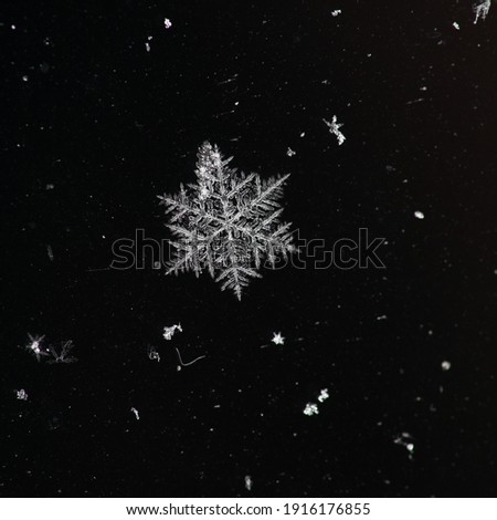 Winter snowflakes magnified. Snowflakes on a dark background.