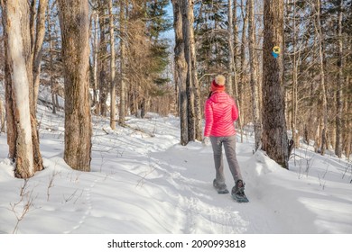 Winter snowshoe hiking activity. Snowshoeing woman in winter forest. People on hike in snow hiking in snowshoes living healthy active outdoor lifestyle.