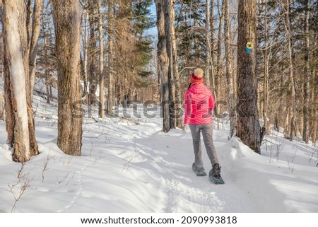 Winter snowshoe hiking activity. Snowshoeing woman in winter forest. People on hike in snow hiking in snowshoes living healthy active outdoor lifestyle.