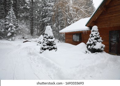 WInter Snowy Cabin House Exterior With Forest And Pine Trees And Snow Mobile Tracks.