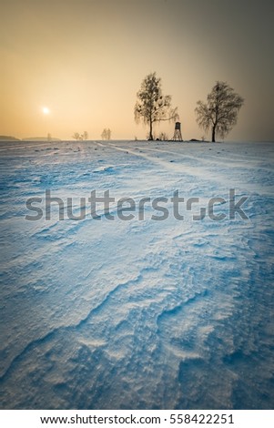 Similar – Image, Stock Photo raised hide Hunting