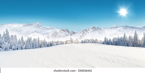 Winter Snowy Forest With Alpen Panorama And Blue Sky