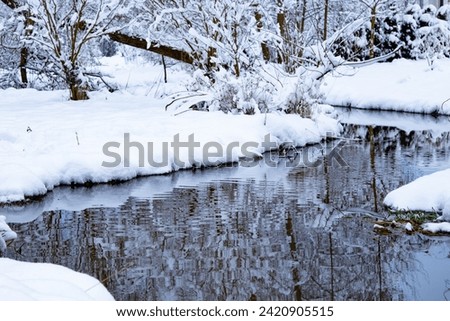 Winter. Snowy Forest. Winter Forest Stream. Winter Forest Scene With Snow and Stream. Cold Clear Water Stream. Winter Landscape with Snowdrifts and Forest Trees