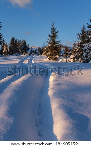 Similar – Image, Stock Photo winter idyll