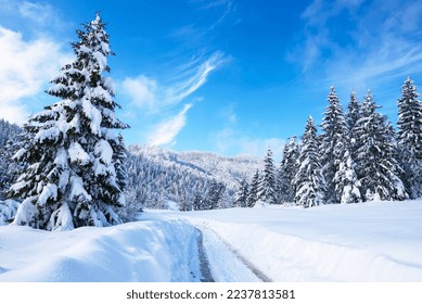 Winter snowy panorama of forest and blue sky - Shutterstock ID 2237813581