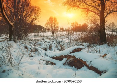 Winter Snowy Scenery. Field Covered With Snow At Sunset