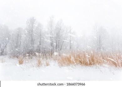 Winter snowy scenery. Snowflakes, falling over frozen lake with dry reeds. Wide angle landscape. - Shutterstock ID 1866073966