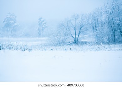 Winter snowy trees background - Shutterstock ID 489708808
