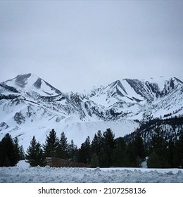 Winter Snowy Wonderland In The Mountains 