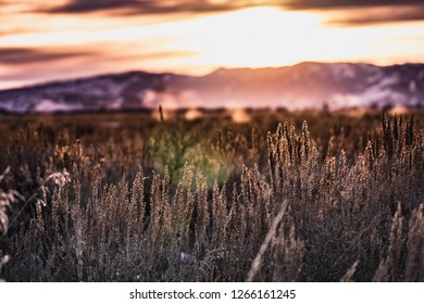 Winter Solstice Sunset In Field