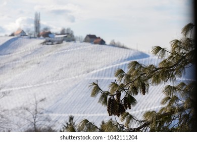 winter in southern styria, an old wine producing country
